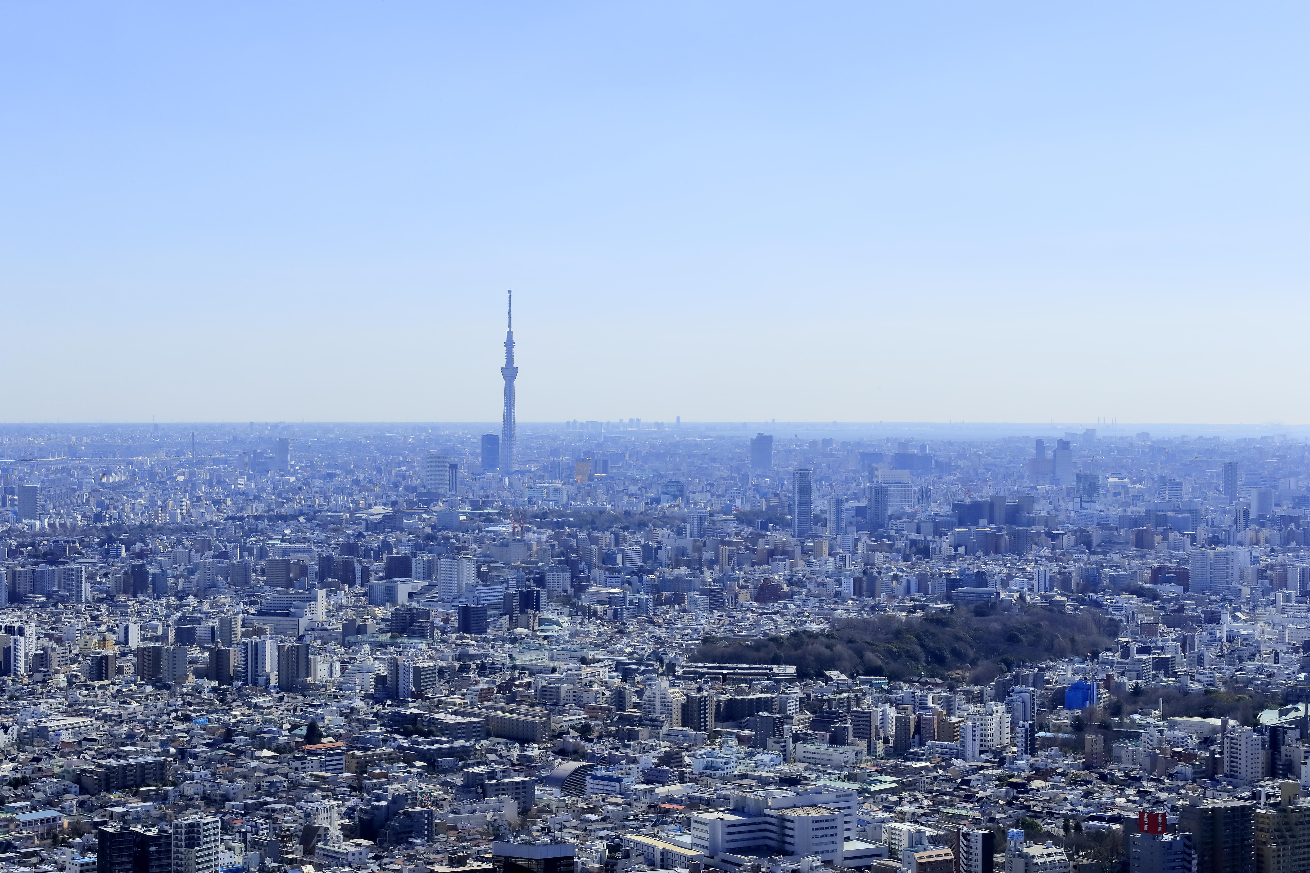 海抜251ｍの高さから360度見渡せる大パノラマの眺望を楽しめます。