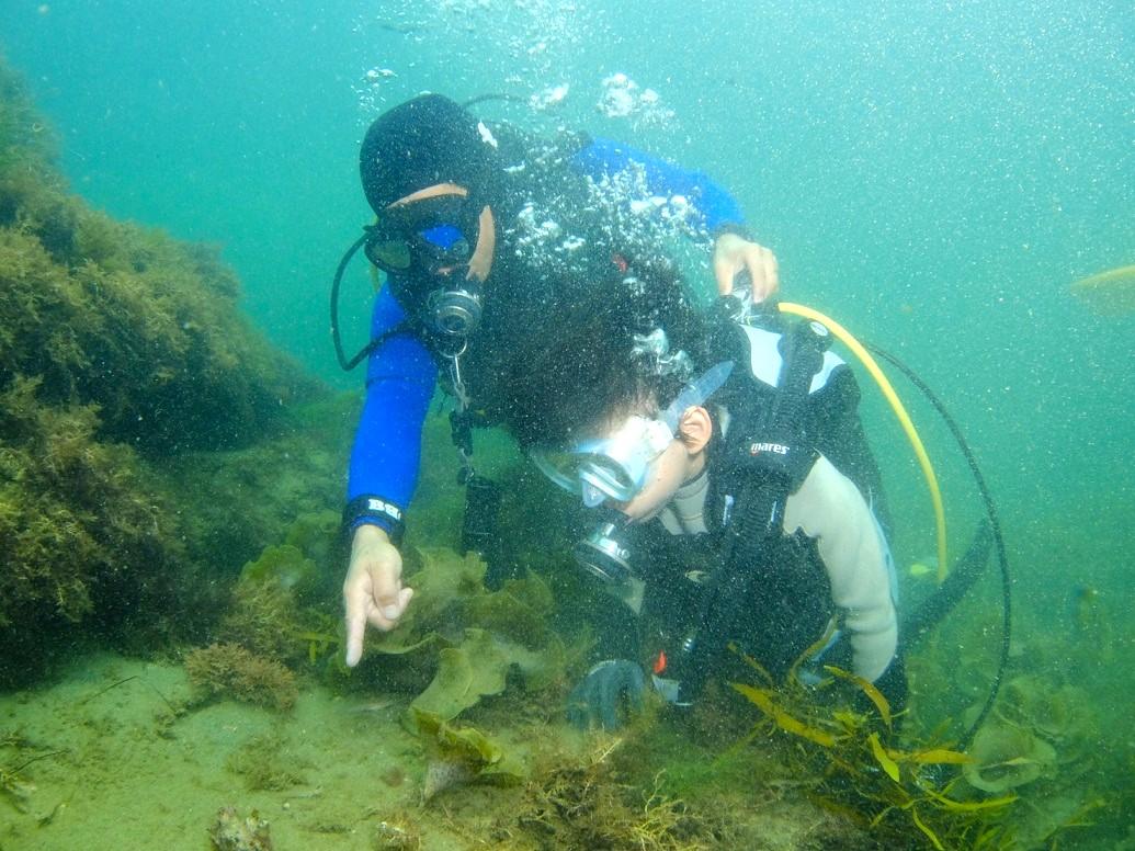 海の中は発見がいっぱい