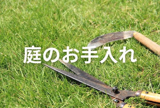 庭のお手入れ
