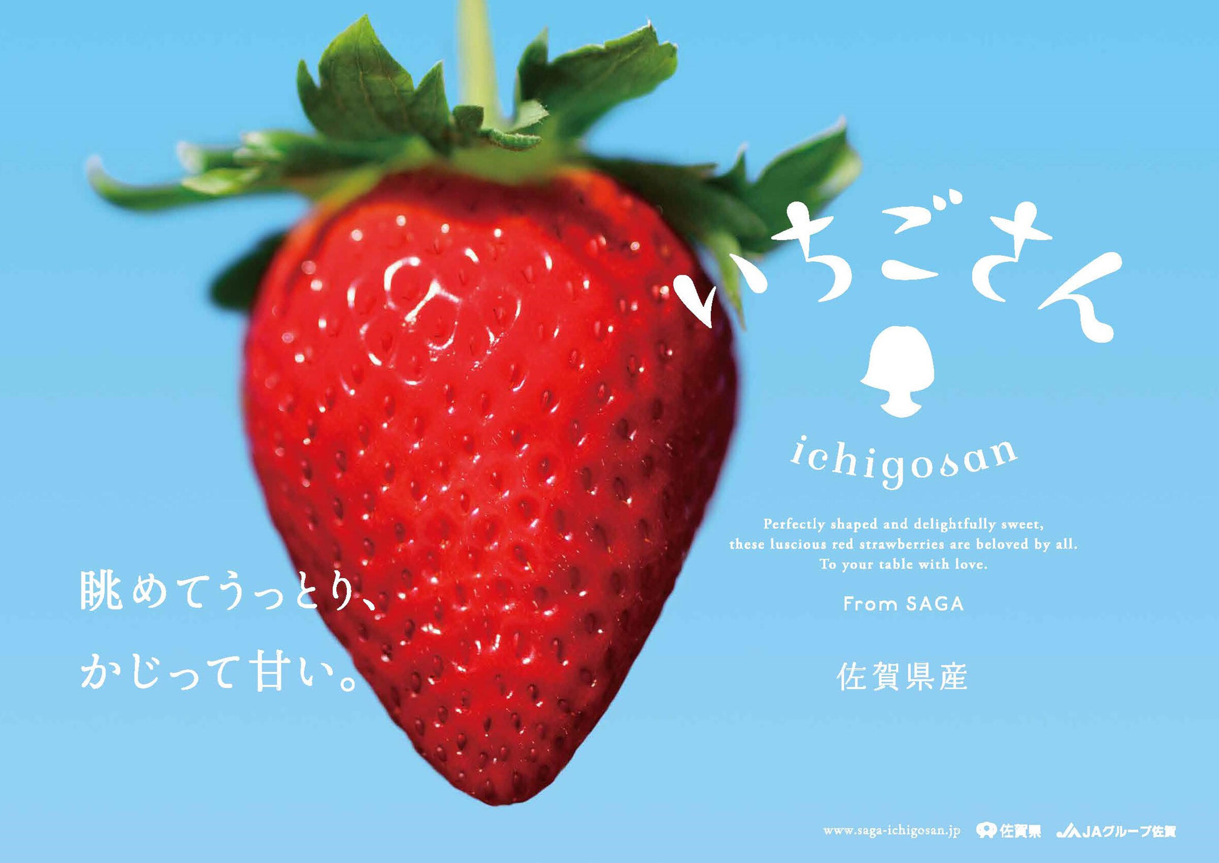 佐賀県生まれの新しいいちご「いちごさん」。凜とうつくしい色と形、華やかなやさしい甘さ、果汁のみずみずしさが特徴です。