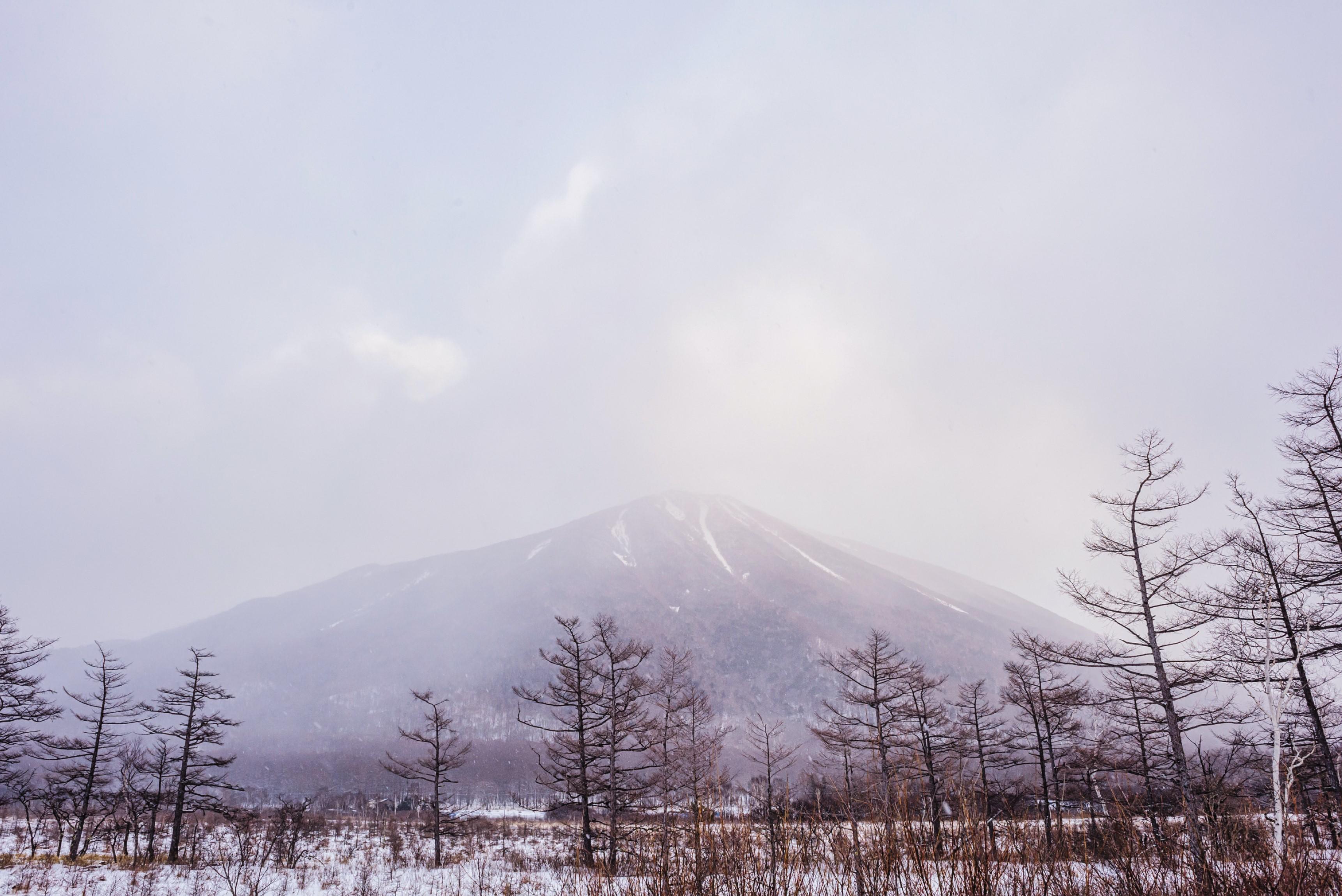 男体山を望む雄大な眺めも満喫できる