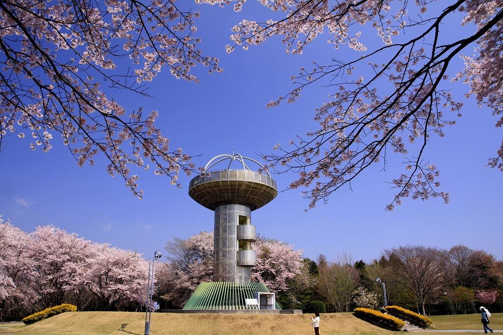 十王パノラマ公園