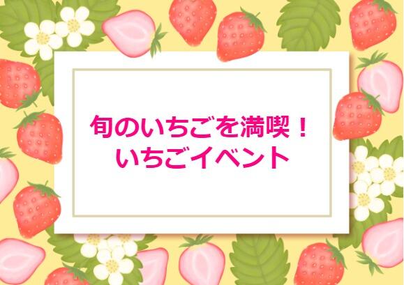 旬のいちごを満喫！いちごイベント