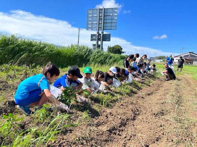 貴重な農業体験もできます。自分で収穫した野菜は格別！