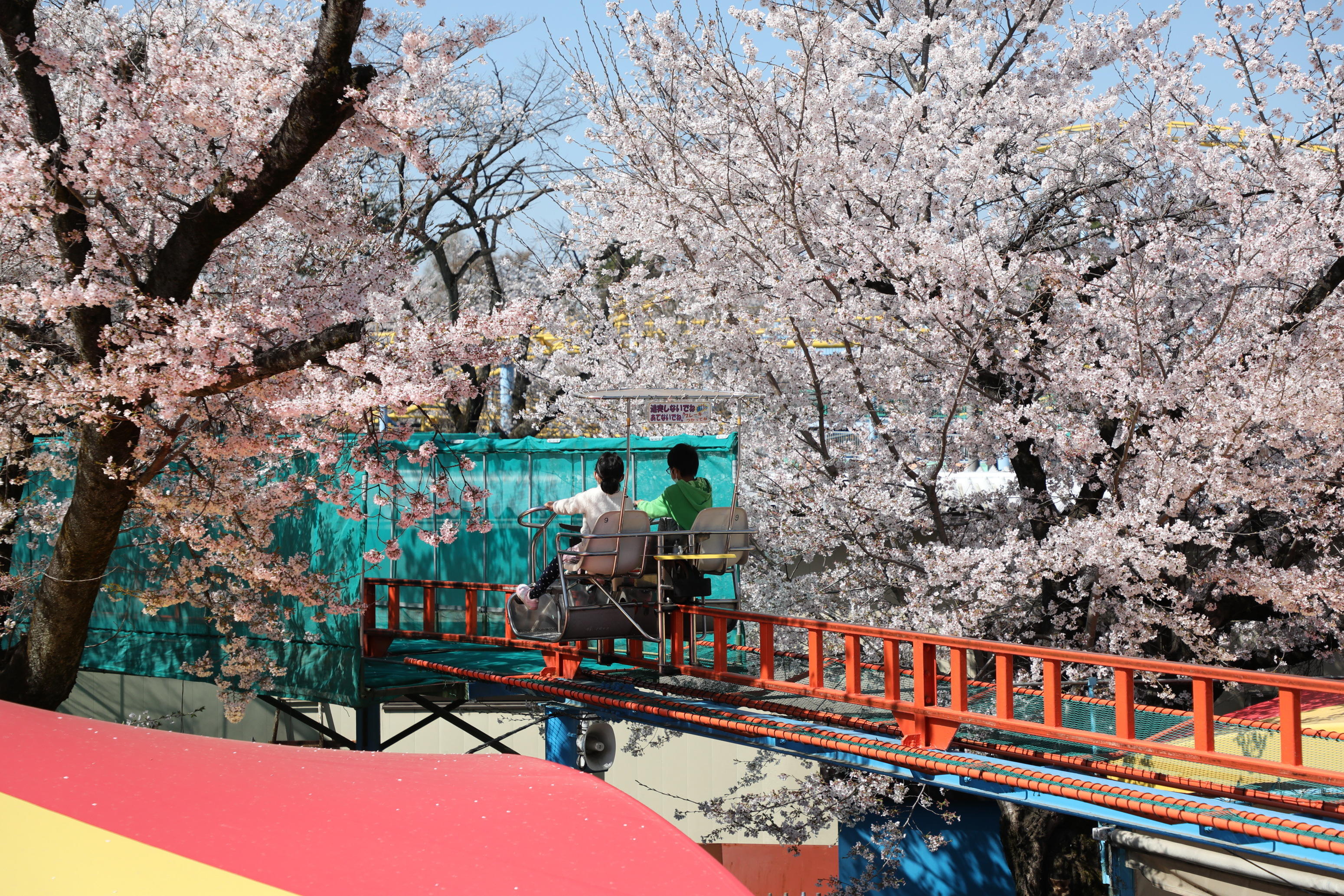 桜の中をサイクルモノレールでGO！