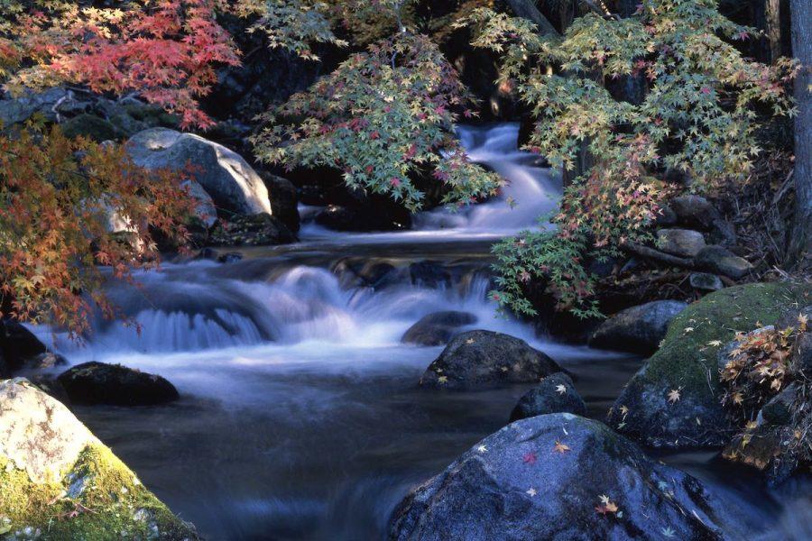 自然の中へ出かけよう！絶景スポット情報