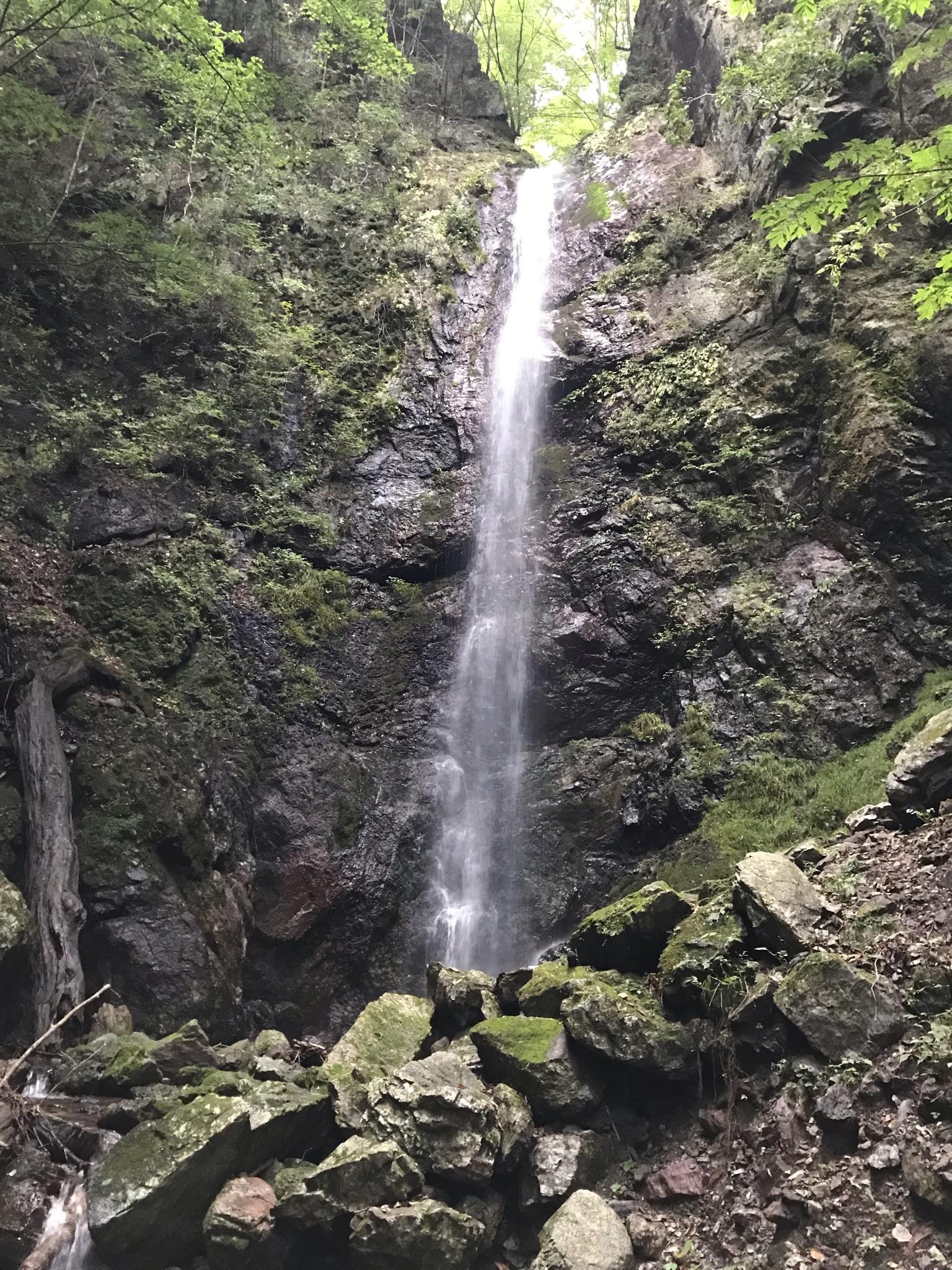 水量が豊富で新緑や紅葉も美しい滝です。