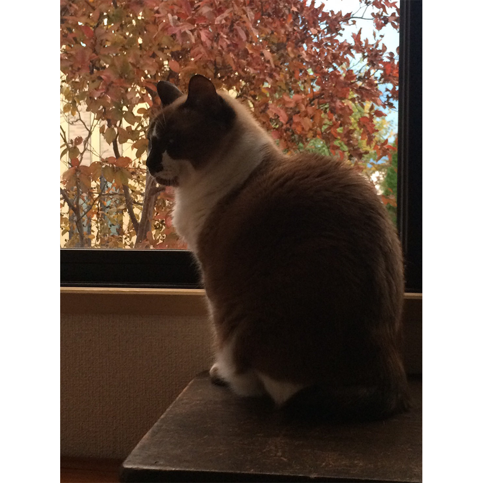 img_05.png